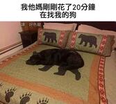 https://imgs.plurk.com/QBj/DEx/tHZ9QQ5v7IYPlERaXNkhCRDhQWF_lg.jpg