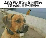 https://imgs.plurk.com/QBj/tzI/Tg3TD81mkudsW2tGSSXdWwUDj2Z_lg.jpg