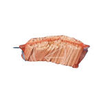 https://imgs.plurk.com/QBk/wY6/SeBf5PrTzgM54kYAbpDomByk3fr_lg.jpg