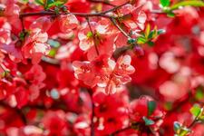 https://imgs.plurk.com/QBl/7Ou/1e7GWVUt4Iz2RISY0hu7uJxy10M_lg.jpg