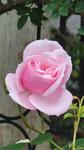 https://imgs.plurk.com/QBl/DdF/PBEVi3tCkIBDbwgG9eWcVfY3pnv_lg.jpg