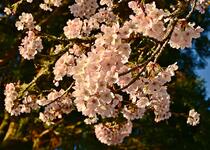 https://imgs.plurk.com/QBl/FMj/Zu5LQugwDsCabeianbS83nvrX0Y_lg.jpg