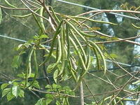 https://imgs.plurk.com/QBl/kV9/y7SuvLkE5YSMitlzKbDl44i6Mdm_lg.jpg