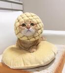 https://imgs.plurk.com/QBm/8Ox/k4QmDA3HUbFEgKliZNgciCC91AR_lg.jpg