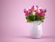 https://imgs.plurk.com/QBm/8jW/TS8MXNkakOSCLt8FLb6YzFNIC4s_lg.jpg