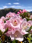 https://imgs.plurk.com/QBm/L6O/mBVoXJYpC8wUXoqo26Ha638N8Oq_lg.jpg