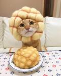 https://imgs.plurk.com/QBm/WF2/WlbtyYQKl1xrcUrZAGnuHqp7UMO_lg.jpg