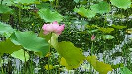 https://imgs.plurk.com/QBn/3TE/3lqP1sRv6u8EkMSPP1Z2zwk91A2_lg.jpg