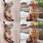 https://imgs.plurk.com/QBp/h6w/PokYgiScW2rmRMprBVbxQRyCXRW_lg.jpg