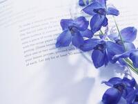 https://imgs.plurk.com/QBp/sVn/DsQd89bseYYPHdk6nrWtFAcy4hw_lg.jpg
