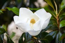 https://imgs.plurk.com/QBs/9Lc/aw0dIXTkO8tY3MJDuGEroRZNKoa_lg.jpg