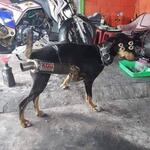 https://imgs.plurk.com/QBs/keI/wkHEawhWDK6PuN81E3UPv8aynDn_lg.jpg