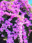 https://imgs.plurk.com/QBt/IkP/oJREq2iZL308bKI1BPkz5LJHsoB_lg.jpg