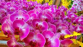 https://imgs.plurk.com/QCV/qFe/lqEshNmxy5L8xMaJmL8RpmkAjVW_lg.jpg