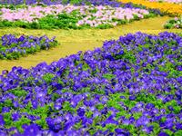 https://imgs.plurk.com/QCV/qSG/oDS4W6OM13Mcd6KXIJL894nWNGX_lg.jpg