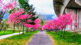 https://imgs.plurk.com/QCW/Dl1/KvpbRBhAtT0w7TCXUSoAwUuo0OB_lg.jpg