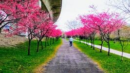 https://imgs.plurk.com/QCW/LSi/XtEWHVu1NZSJibCv7bHi6xrSfCy_lg.jpg