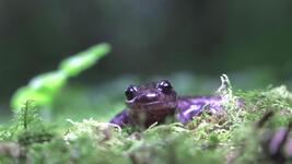 https://imgs.plurk.com/QCX/52g/uisa642a26oPvrpoOTIVAj5c9WV_lg.jpg
