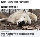 https://imgs.plurk.com/QCX/TQQ/rkvc2xkkK1krFKTEraAhEBiUo49_lg.jpg