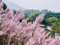 https://imgs.plurk.com/QCX/ek1/qnUx1smiH9TecLXMz7AkSyc9jIN_lg.jpg