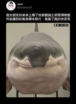 https://imgs.plurk.com/QCX/xSw/y5BZjGCmXb4KSSVZAM8EtG7UwtT_lg.jpg