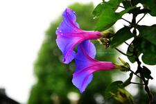 https://imgs.plurk.com/QCY/3TY/TbtkrRUE9bnpIH1zCn6lvQvYlrm_lg.jpg