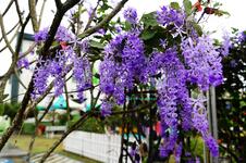 https://imgs.plurk.com/QCY/Xnr/bNvOG2C6pLC85Nv2qsVgwo2Alin_lg.jpg