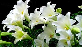 https://imgs.plurk.com/QCY/hjw/4rG1S3JIY4mWEGZGIFY4oy9n7KA_lg.jpg