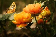https://imgs.plurk.com/QCZ/Ad5/fq9MsG9LT6SeEwTDHNIGZ2tC5BQ_lg.jpg