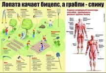 https://imgs.plurk.com/QCZ/MI3/7zvagD3dnLDdf7X43X7wPenmGuY_lg.jpg