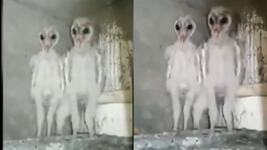https://imgs.plurk.com/QCZ/u6w/EyRYgx3WSjZQ3DcgJiSEQqk1AfF_lg.jpg