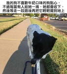 https://imgs.plurk.com/QD0/XqF/k2bMb0fDAkBPjwAWPbPlFbHA1QS_lg.jpg