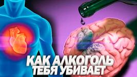 https://imgs.plurk.com/QD1/mcT/yTdqiKgRfreDsuFcK0gX1GLGruJ_lg.jpg