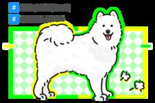 https://imgs.plurk.com/QD1/sGs/l3BWImgMm0kxhEvYQnfAXKz9W7L_lg.png
