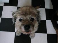 https://imgs.plurk.com/QD2/2hH/4B6vsOONLH0r86m9Vq2wYZfQJvm_lg.jpg