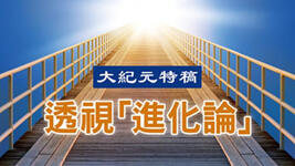 https://imgs.plurk.com/QD2/950/R2E08UFPTBmHEd3nG0bSj3V35c5_lg.jpg