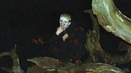 https://imgs.plurk.com/QD3/BK9/rc8pULV1kT1I932s1CcnTDzBjgC_lg.jpg