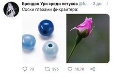 https://imgs.plurk.com/QD4/2vU/b8KzX0OIT1OFHgx2ch2suXhE7LE_lg.jpg