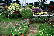 https://imgs.plurk.com/QD5/3f4/jfh3nwLjYR7SOekxePzmrZoN33h_lg.jpg