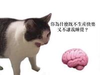 https://imgs.plurk.com/QD5/ANj/r2lls5BZbBzjUCm0q0ZdJgZluCg_lg.jpg