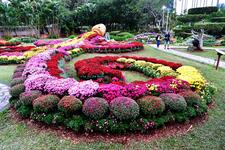 https://imgs.plurk.com/QD5/Cp0/79Iz87KMXc76zyj439Gkf3VaEvS_lg.jpg