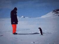 https://imgs.plurk.com/QD6/qtt/qFZn0JfPWNJEdbtqH3ZG8yA0xnz_lg.gif