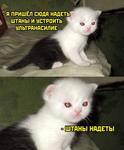 https://imgs.plurk.com/QD6/tKF/Y3GzKByIvdb1JcPnFY0eBTBYDIc_lg.jpg