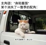 https://imgs.plurk.com/QG9/s8T/ukYBPD33NvR30LwU8MYNFk1JmHf_lg.jpg