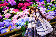 https://imgs.plurk.com/QGb/5ck/0CmcMif3mIPUhKWqhIusRmkXn5m_lg.jpg