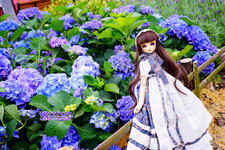 https://imgs.plurk.com/QGb/EqP/YMKzKE2q8jHBOXu91t9O8euZn2p_lg.jpg