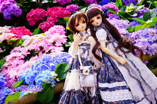 https://imgs.plurk.com/QGb/IE8/JIEBD00nQL9WhSqDbqeBGB6vvy2_lg.jpg
