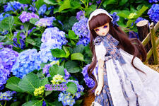 https://imgs.plurk.com/QGb/JhD/bb3q4lv453dINVpPtP5S5HOd95b_lg.jpg