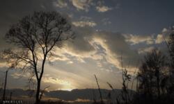 https://imgs.plurk.com/QGb/V3C/YjSrMtAbSUq6UHfDEjq7a1HWfGV_lg.png
