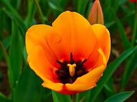 https://imgs.plurk.com/QGc/5AA/9uYv8zgFrvqq0qoLi714YFxCp6C_lg.jpg